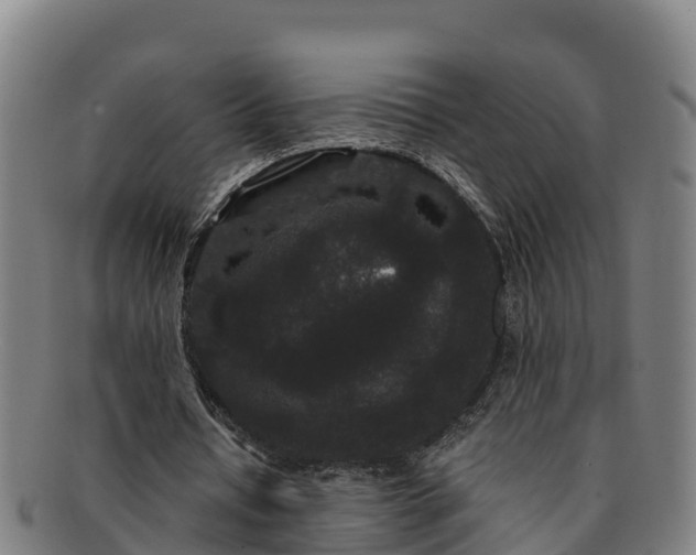 X0000091730434200708311206