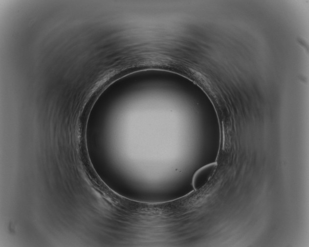 X0000091730435200708311206