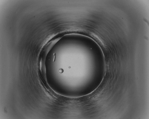 X0000091730436200708311206