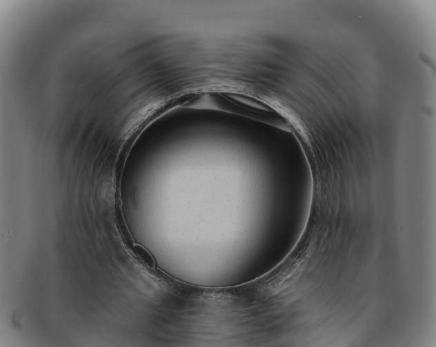 X0000091730437200708311206