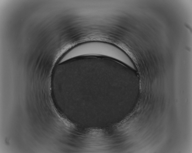 X0000091730438200708311206