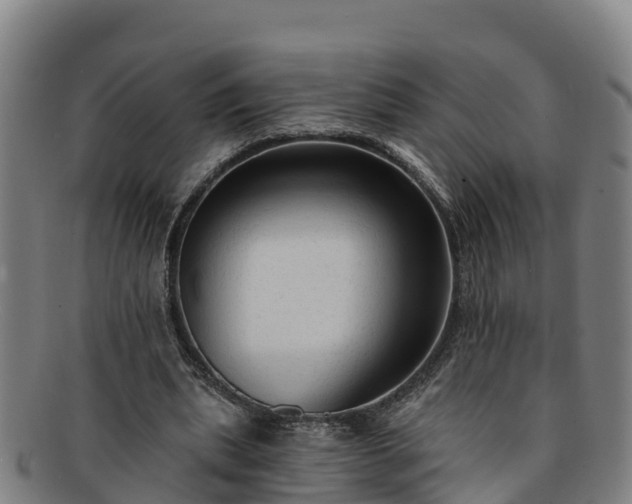 X0000091730439200708311206