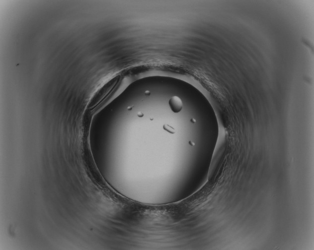 X0000091730440200708311206