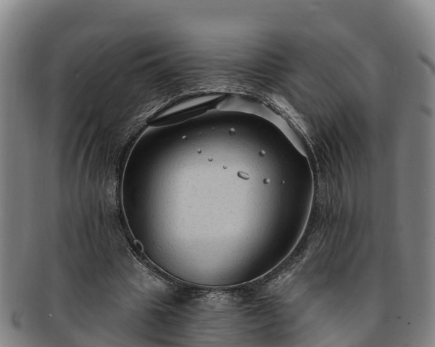 X0000091730441200708311206