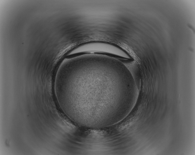 X0000091730442200708311206