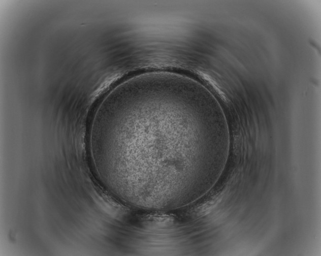 X0000091730443200708311206