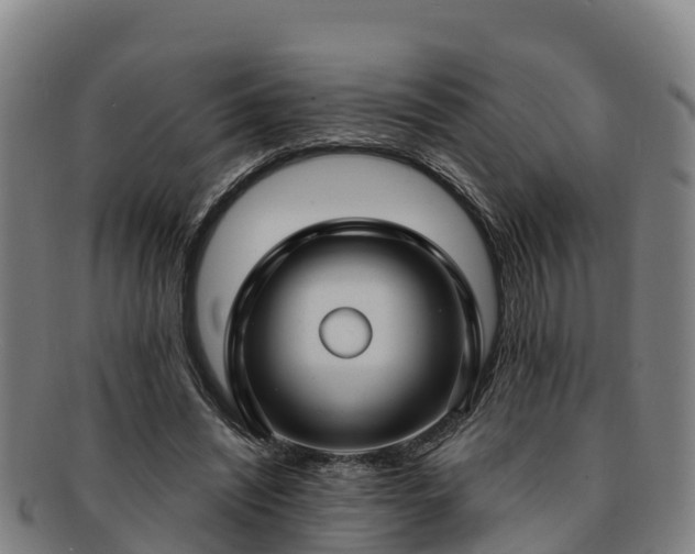 X0000091730444200708311206