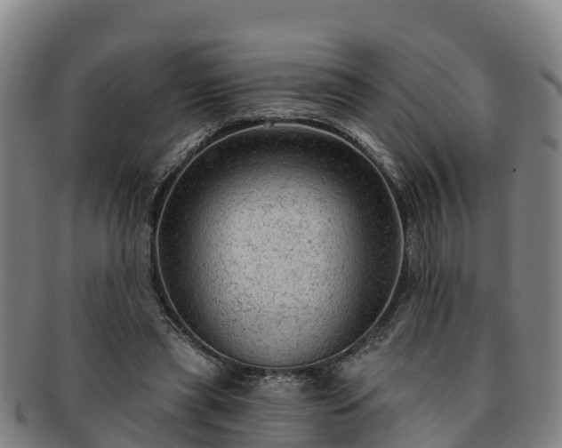 X0000091730445200708311206