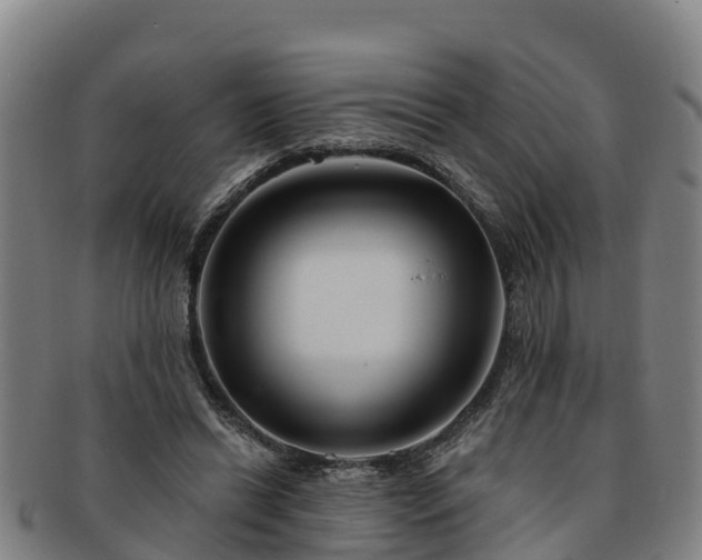 X0000091730446200708311206