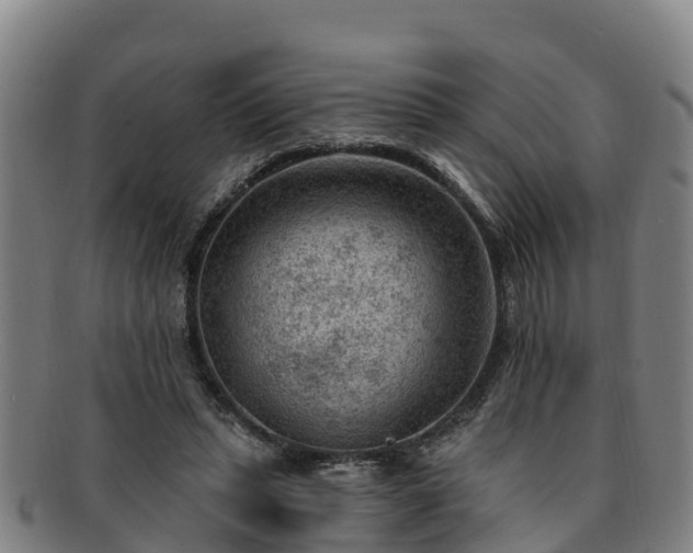 X0000091730447200708311206