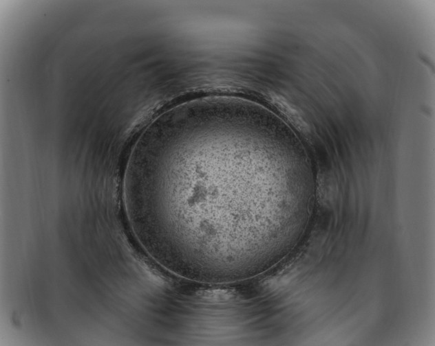 X0000091730449200708311206