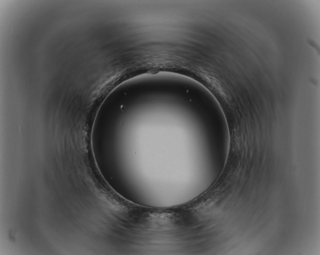 X0000091730450200708311206