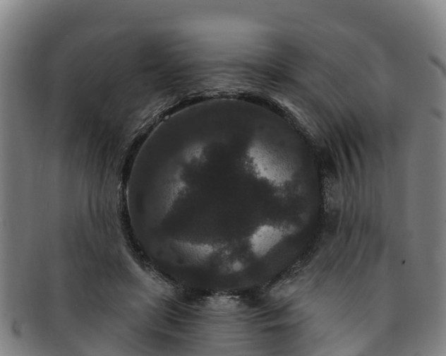 X0000091730451200708311206