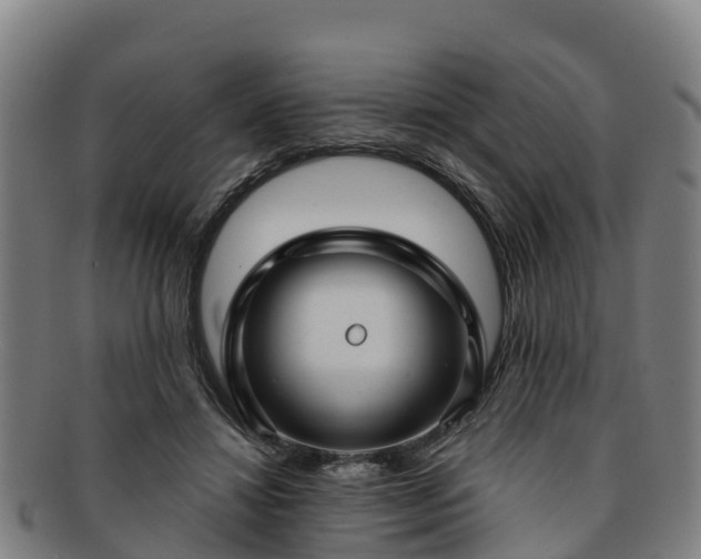 X0000091730452200708311206