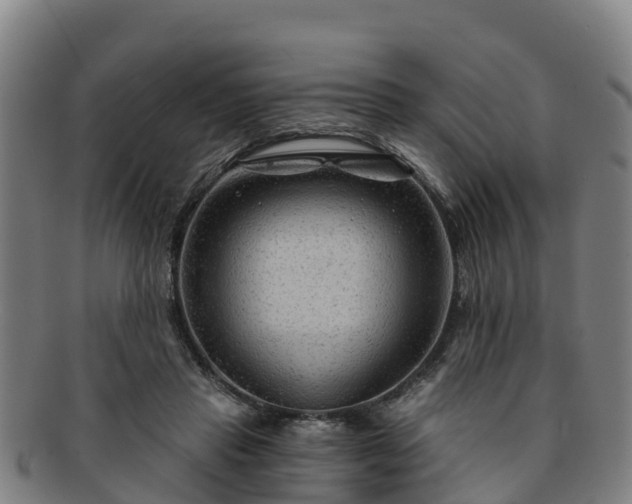 X0000091730453200708311206