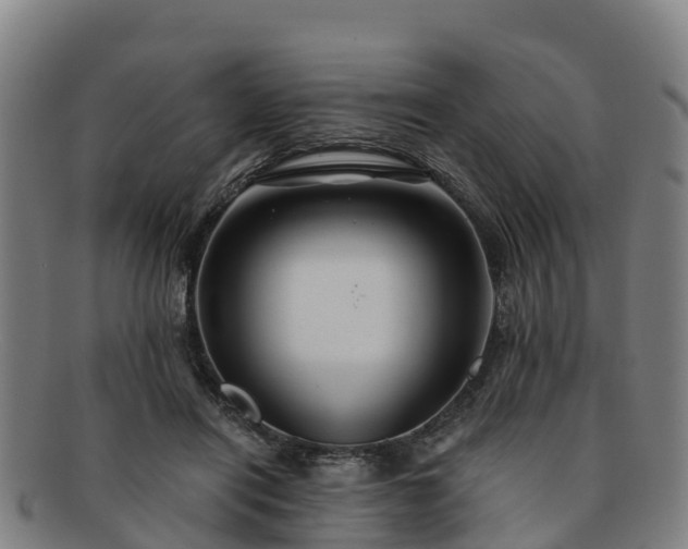 X0000091730454200708311206