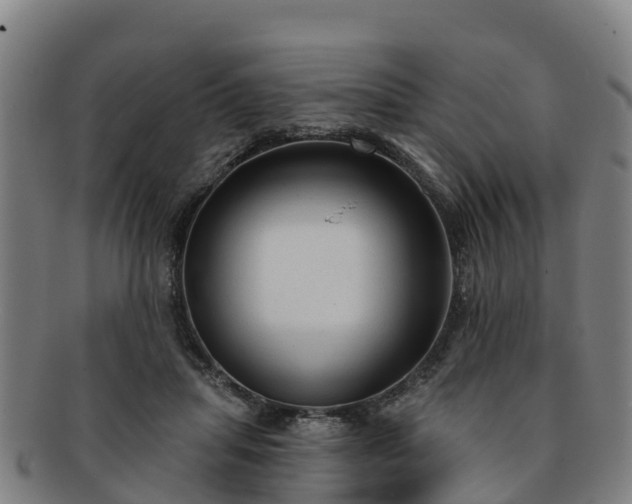 X0000091730455200708311206