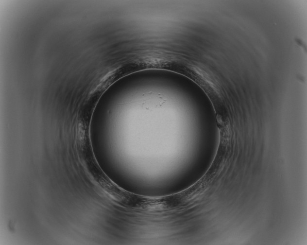 X0000091730456200708311206