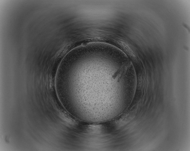 X0000091730457200708311206