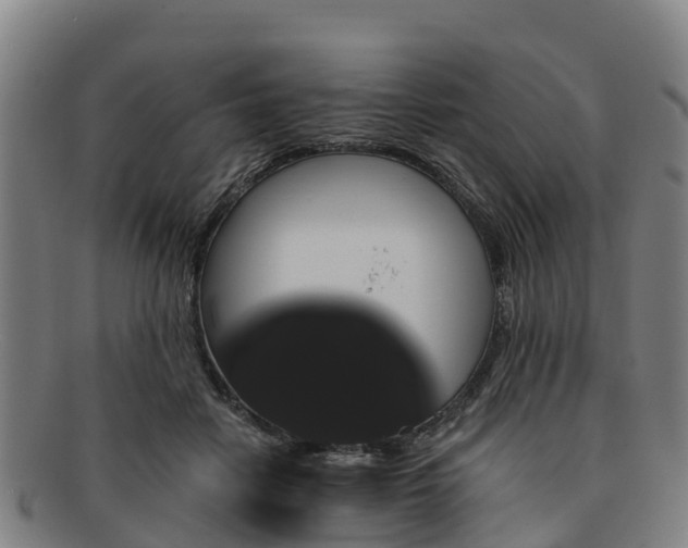 X0000091730458200708311206