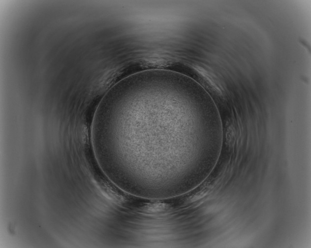 X0000091730459200708311206