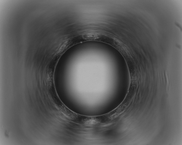 X0000091730460200708311206