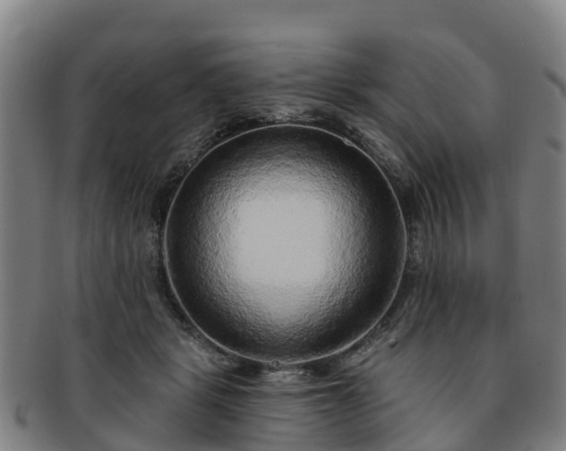 X0000091730461200708311206