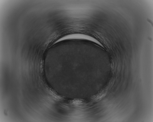 X0000091730462200708311206