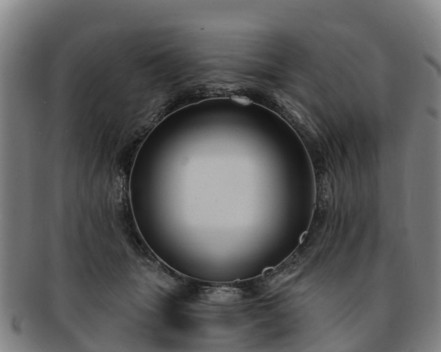 X0000091730463200708311206