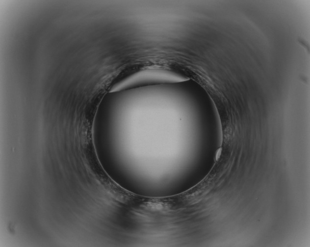 X0000091730464200708311206