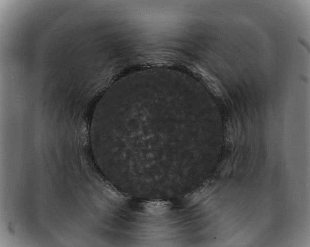 X0000091730465200708311206