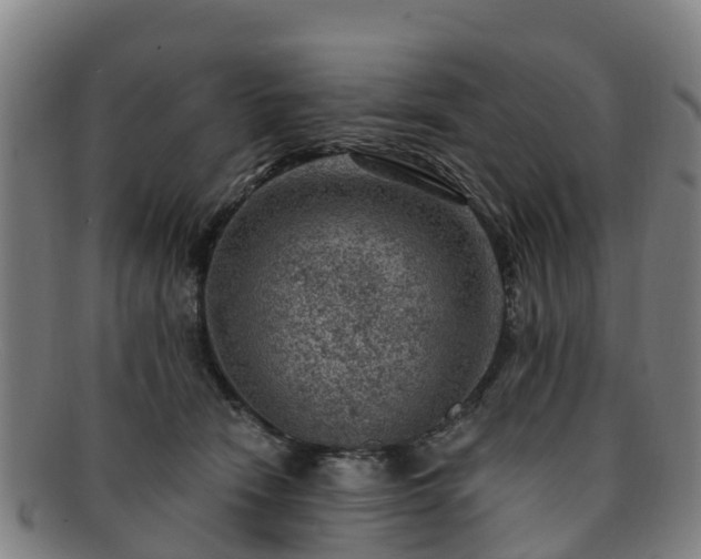 X0000091730466200708311206