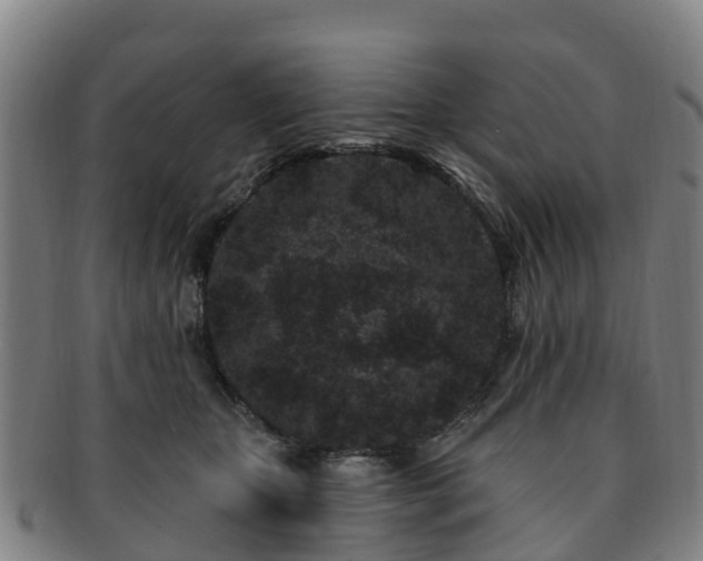 X0000091730467200708311206