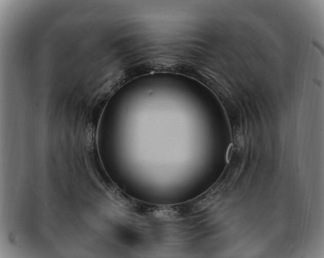 X0000091730468200708311206