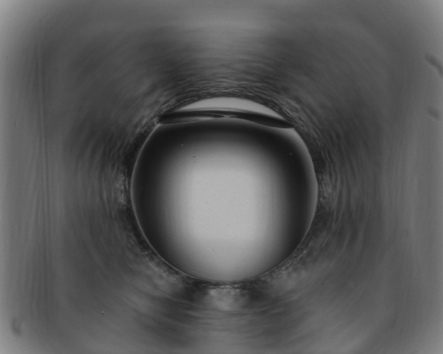 X0000091730470200708311206