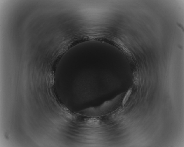 X0000091730471200708311206