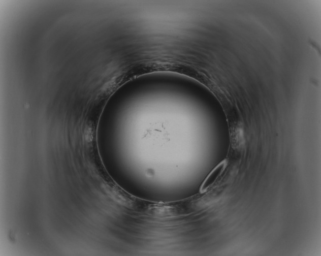 X0000091730472200708311206