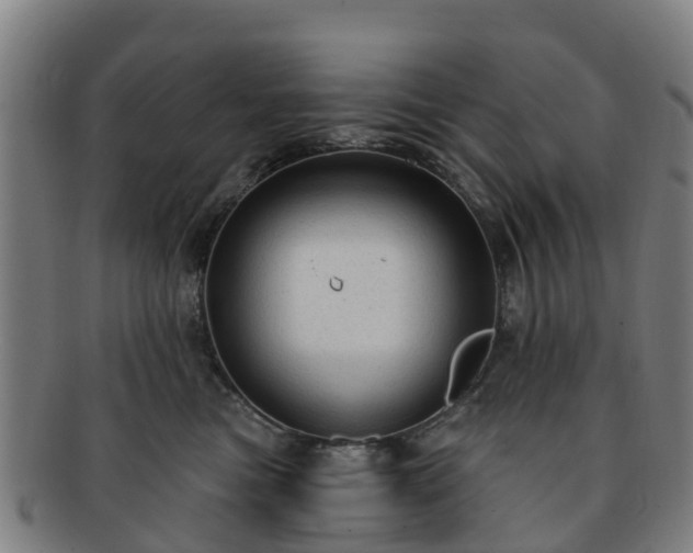 X0000091730473200708311206