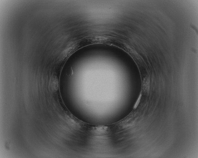 X0000091730474200708311206