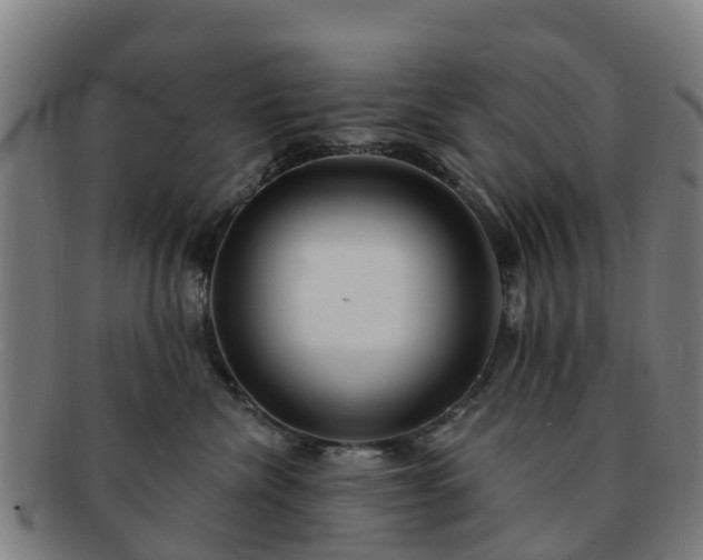 X0000091730476200708311206