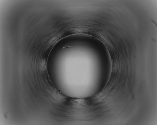 X0000091730478200708311206