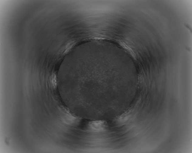 X0000091730479200708311206