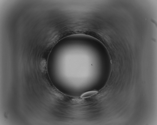 X0000091730480200708311206