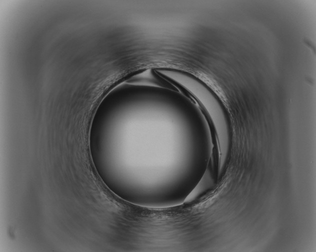 X0000091730481200708311206