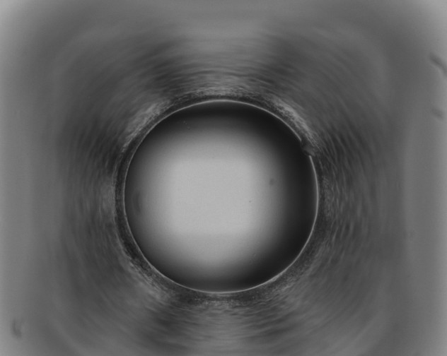 X0000091730482200708311206