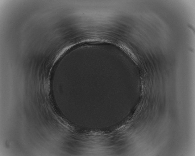 X0000091730484200708311205