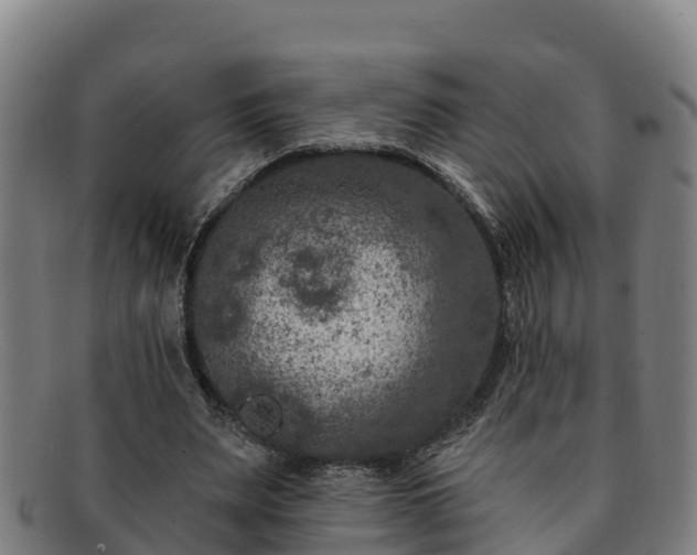 X0000091730487200708311205