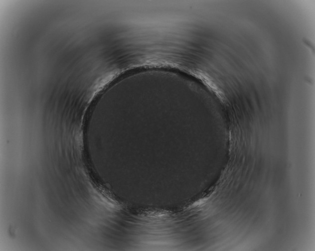 X0000091730488200708311205