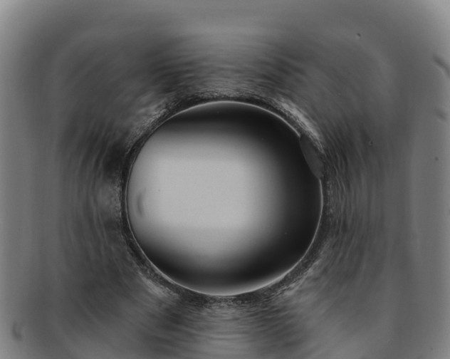 X0000091730489200708311205