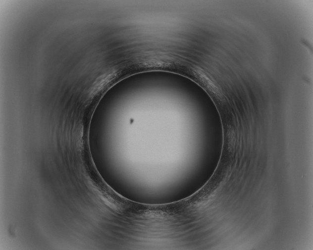 X0000091730490200708311205